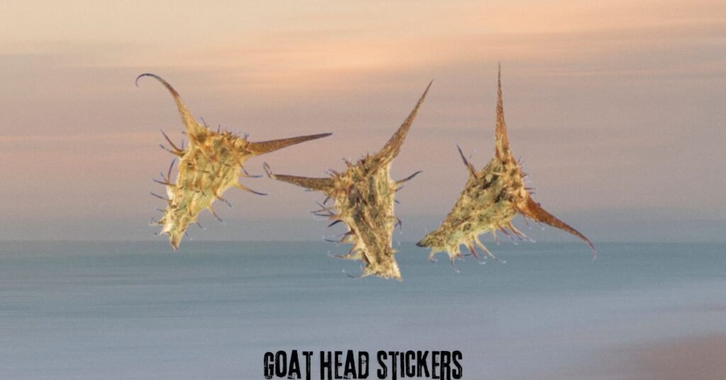 goat head stickers